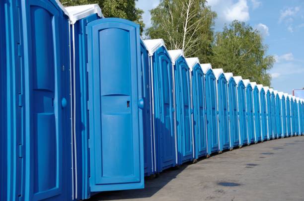 Best Sanitation services for porta potties  in Wailua Homesteads, HI